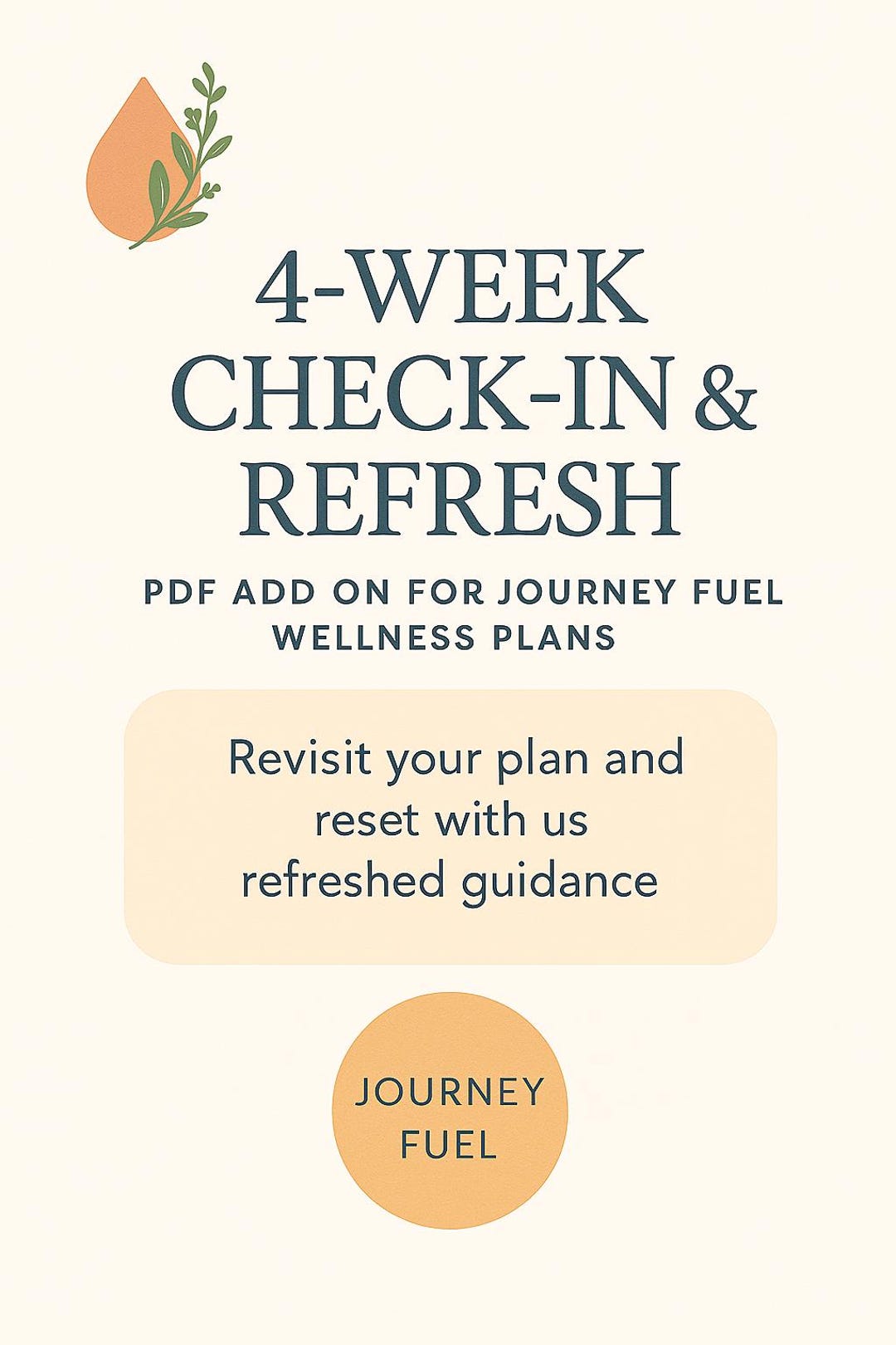 4 Week Check in and Refresh Add on for Journey Fuel Wellness Plans - Etsy