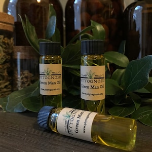 May include: Three small glass bottles with brown labels and black caps. The labels have the text "PHYTOGNOSIS Green Man Oil www.phytognosis.org" on them. The bottles are filled with a yellow liquid.