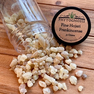 Fine Hojari Frankincense - Boswellia sacra - Small tear sized premium grade A frankincense from Oman