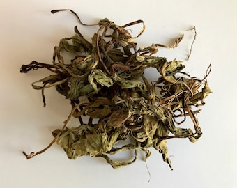 Deerstongue herb - Also known as Vanilla Leaf or Wild Vanilla - Used for love, lust, legal issues, and marriage