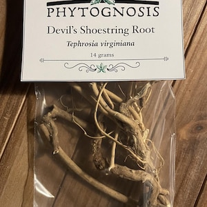 Devil's Shoestring (Tephrosia virginiana) - For works of hoodoo, conjure, witchcraft and magick