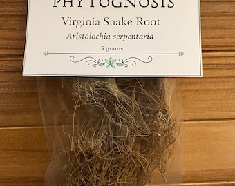 Virginia Snake Root (Aristolochia serpentaria) - a very rare conjure and hoodoo herb