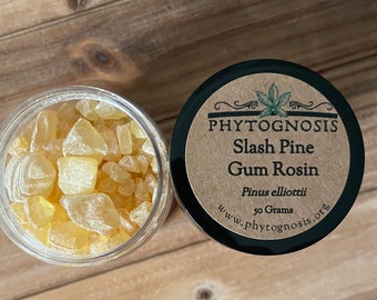 Slash Pine Gum Rosin (Pinus elliottii) - Used in incense, meditation, and spirituality