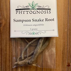 Sampson Snake Root (Echinacea angustifolia) - a conjure and hoodoo herb for male power, virility, and strength