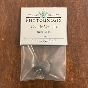 May include: A single dark, round seed inside a clear plastic bag attached to a white paper label. The label features the text PHYTOGNOSIS, Ojo de Venado, Mucuna sp., and 1 Seed, decorated with small green leaf illustrations and black lines.