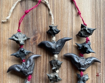 Apotropaic charm created from Devil&#39;s Head Pod and Devil&#39;s Backbone