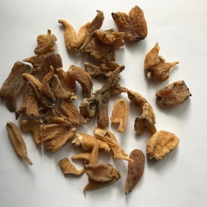 Lucky Hand Roots Used in Hoodoo, Conjure, Rootworking, Witchcraft and magick image 1