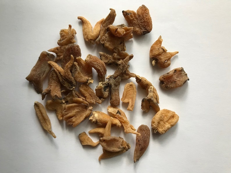 Lucky Hand Roots Used in Hoodoo, Conjure, Rootworking, Witchcraft and magick image 1