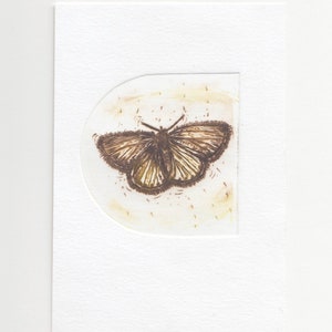 Tiny Butterfly Etching Print - Moth Etching- Original Printmaking Art