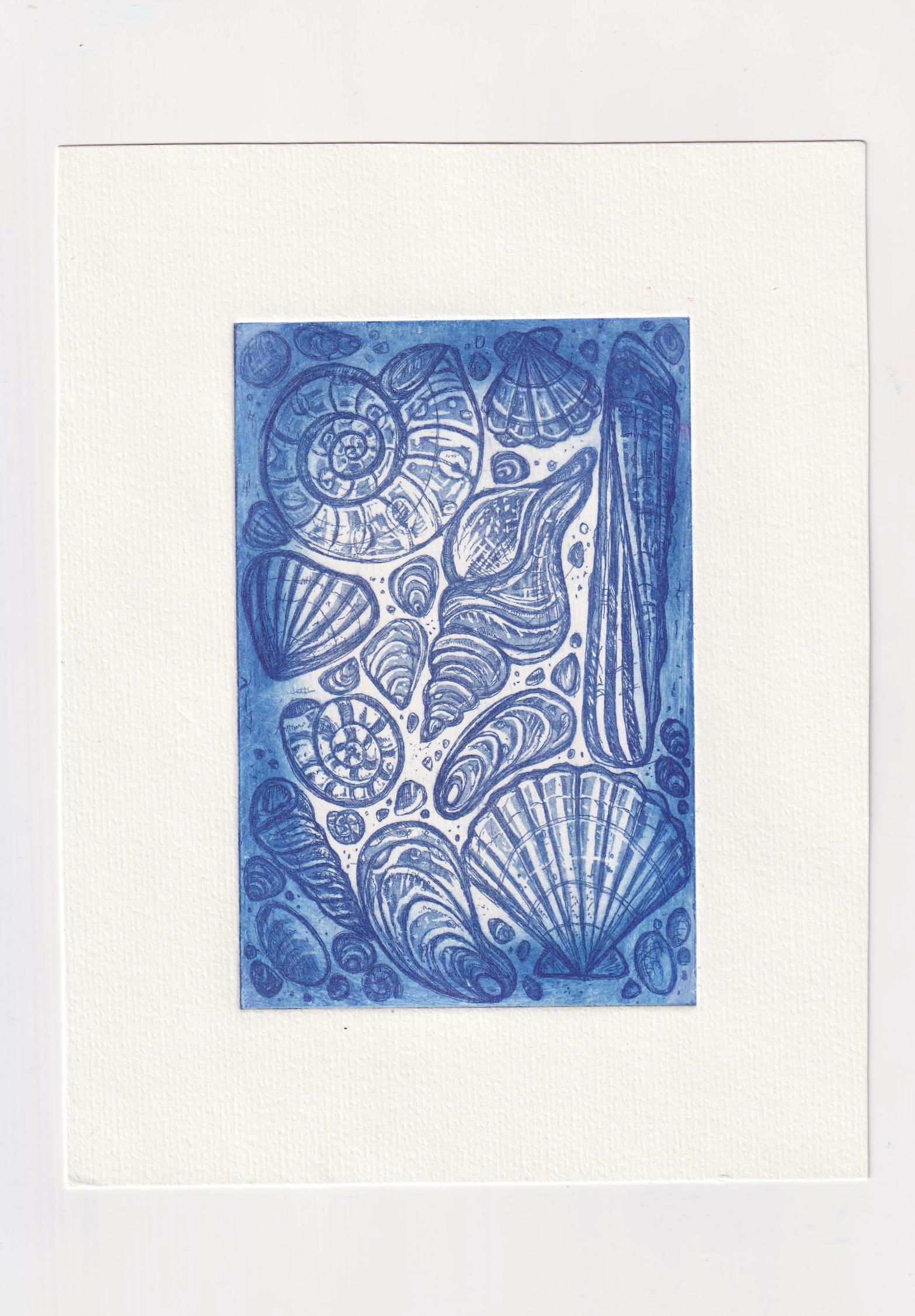 Blue Seashells Coastal Print - Original Aquatint Etching -intaglio 