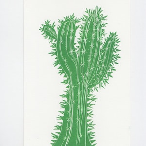 Stampa originale di linoleografia di cactus - Arte succulenta verde