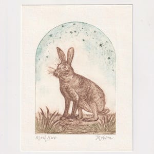 March Hare - Small Intaglio Print - Drypoint Etching - Original Printmaking Art