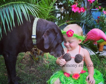 Baby Girl or Toddler Hawaiian HULA Dancer Island Photo Prop- Grass Skirt Coconut Bra and Flower Headband - Made to Order PLAN Ahead