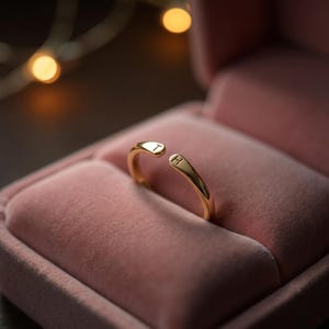 May include: A gold-colored open ring with the letters "T" and "H" engraved on the ends. The ring is displayed inside a pink velvet ring box, with blurred lights in the background. The ring is a jewelry item.