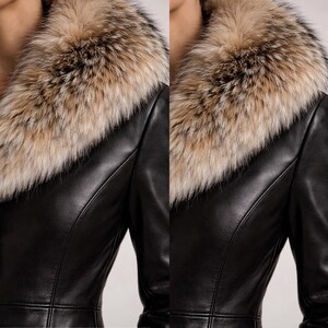 May include: A close-up of a black leather jacket with a fur collar. The collar is a mix of light brown, tan, and dark brown fur. The jacket has a tailored fit with seams that follow the body's shape.