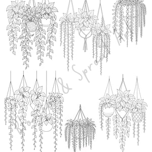 Może przedstawiać: Czarno-biała ilustracja różnych wiszących roślin w donicach. Obraz przedstawia różne rodzaje roślin, każda zawieszona na sznurku lub wieszaku z makramy. Rośliny mają szczegółowe liście i pnącza. Tekst "Blossom & Sprout Art" znajduje się na dole.