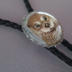 May include: A black bolo tie with a round, silver-toned pendant featuring a close-up image of an otter's face.