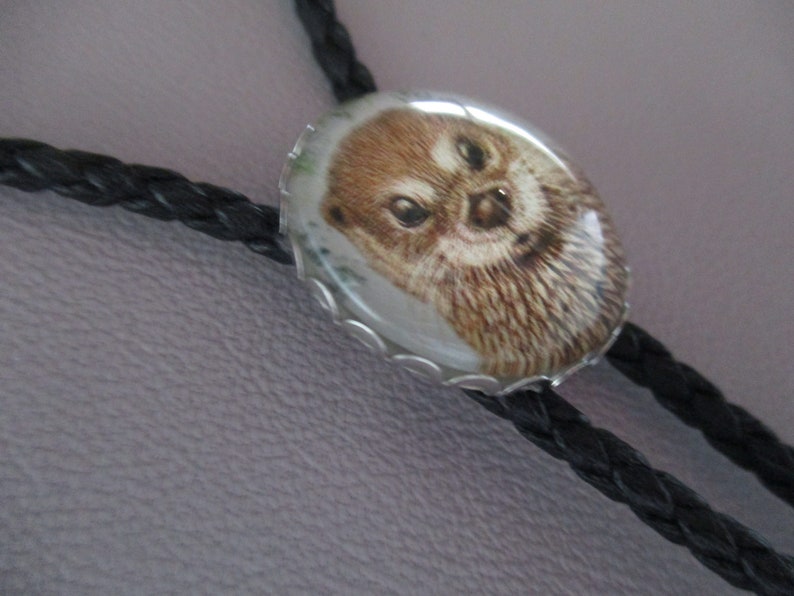 May include: A black bolo tie with a round, silver-toned pendant featuring a close-up image of an otter's face.