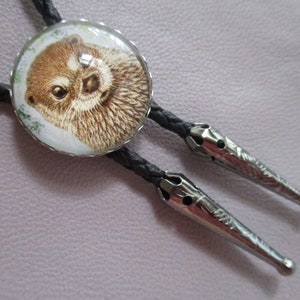 May include: A black bolo tie with a silver-toned metal tip and a round, glass pendant featuring a close-up image of an otter.