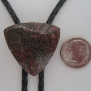 May include: A brown and black patterned bolo tie with a triangular pendant. The pendant is about the size of a dime.