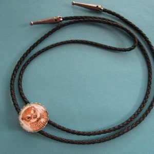 May include: A black braided bolo tie with a silver tip and a round, silver-rimmed pendant featuring a close-up image of an otter.