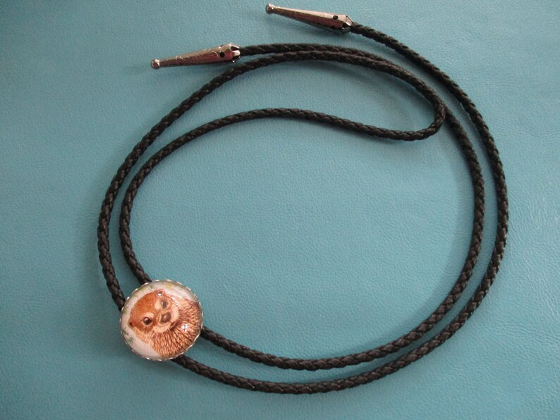 May include: A black braided bolo tie with a silver tip and a round, silver-rimmed pendant featuring a close-up image of an otter.