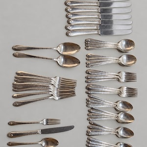 May include: A large collection of silver-toned flatware including knives, forks, and spoons. Each piece features a decorative embossed pattern along the handle edge. The set is arranged in organized groups of various sizes and types.