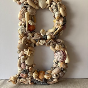 Seashell Letter B Coastal Decor Beach Wall Art Shell Monogram Nautical/Cottage Home Decor