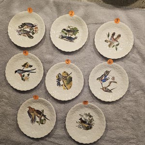 Meakin Audubon Plate - Etsy