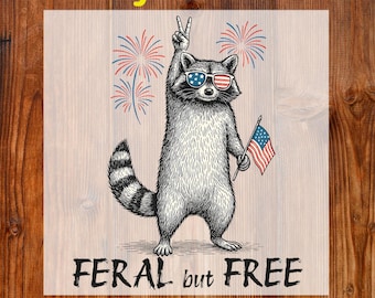 Vintage Patriotic Raccoon Ready To Press DTF, Feral But Free Dtf Transfer,  Funny 4th of July DTF Print, American Feral Girl Dtf, USA Flag
