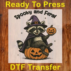 Spooky and Feral Raccoon Ready To Press DTF, Funny Halloween DTF Transfer, Witchy Raccoon Print, Halloween Pumpkin Dtf, Spooky Season Print