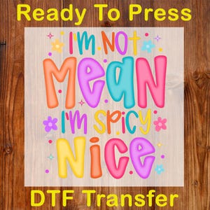 I'am Not Mean I'am Spicy Nice Ready To Press DTF, Preppy Funny Spicy DTF Transfer, Mental Health Print, Funny Sarcastic Iron On, Snarky Dtf