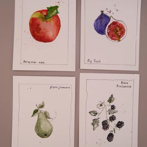 Cartões postais de frutas frescas - aquarela original, conjunto de 4