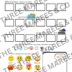 May include: A white daily schedule with sections for morning, afternoon, and night routines. Includes prompts for self-reflection, with a space to write "I am so grateful."