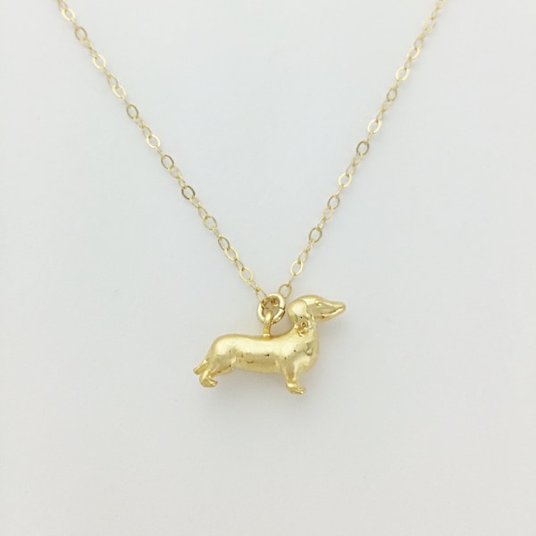 Dachshund Dog Collar Etsy