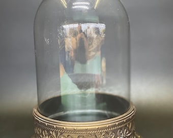 May include: A clear glass cloche with a decorative, ornate base. The base is a combination of gold and brown, featuring intricate floral and scrollwork patterns. The cloche is dome-shaped, creating a display case.