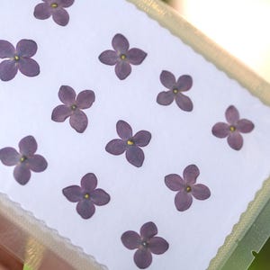 Flores de lila prensadas, 12 flores de lila prensadas reales, pétalos de lila secos. Materiales para manualidades con resina, diarios, tarjetas, scrapbooking y arte.