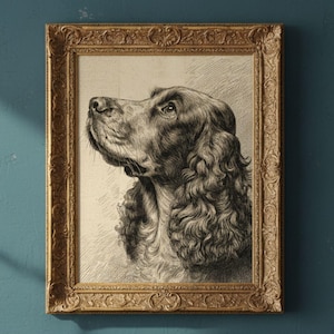 May include: A framed black and white print of a dog's head, with a detailed drawing style. The dog has long, curly fur and is looking upwards. The frame is gold-colored with ornate detailing.