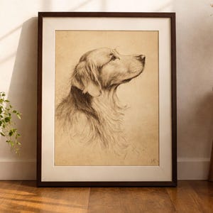 May include: A framed charcoal drawing of a Golden Retriever dog in profile, facing right. The artwork features detailed pencil strokes on a light tan background, encased in a dark brown wooden frame with a wide off-white mat border.