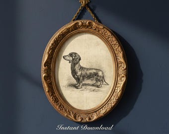 1907年ヴィンテージ ダックスフント 犬プリント TECKEL アンティーク