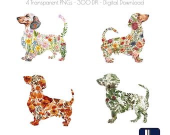 Può includere: Set di clipart floreali stagionali di bassotto con quattro sagome di bassotto riempite di motivi floreali. Il download digitale include quattro PNG trasparenti a 300 DPI. L'immagine include il testo "LittleLeeStudio" e un logo.
