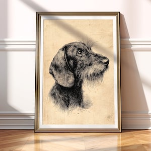 Könnte beinhalten: Gerahmter Vintage-Druck mit einer detaillierten Schwarz-Weiß-Illustration eines Dackelhundes. Der Hund ist im Profil dargestellt, mit langer Schnauze und markantem Bart. Das Kunstwerk befindet sich vor einem beigefarbenen Hintergrund.