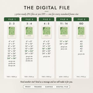 The Digital File option: five print-ready JPG files in 2:3, 3:4, 4:5, 11:14 and ISO ratios at 300 DPI