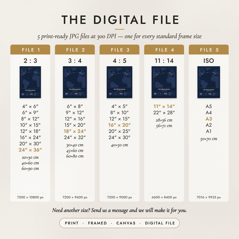 The Digital File option: five print-ready JPG files in 2:3, 3:4, 4:5, 11:14 and ISO ratios at 300 DPI