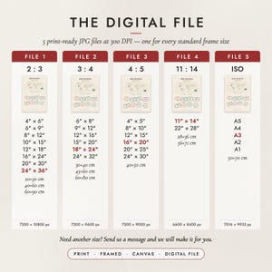The Digital File option: five print-ready JPG files in 2:3, 3:4, 4:5, 11:14 and ISO ratios at 300 DPI