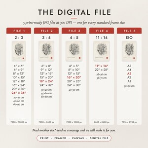 The Digital File option: five print-ready JPG files in 2:3, 3:4, 4:5, 11:14 and ISO ratios at 300 DPI