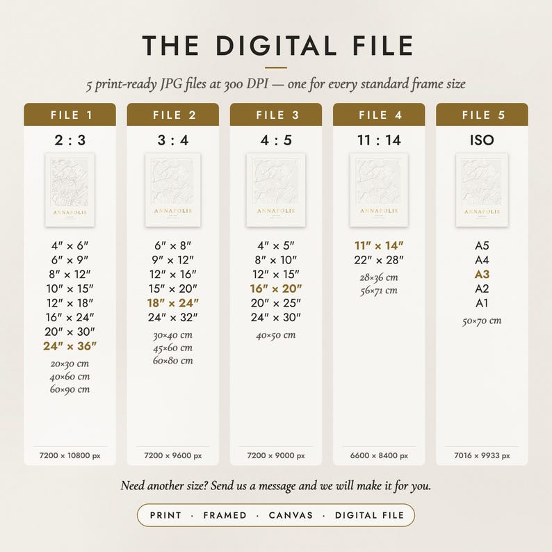 The Digital File option: five print-ready JPG files in 2:3, 3:4, 4:5, 11:14 and ISO ratios at 300 DPI