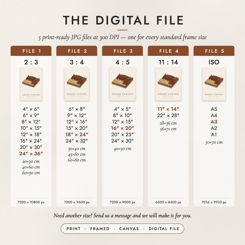 The Digital File option: five print-ready JPG files in 2:3, 3:4, 4:5, 11:14 and ISO ratios at 300 DPI