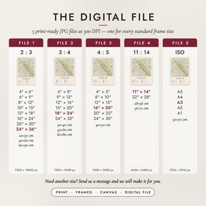 The Digital File option: five print-ready JPG files in 2:3, 3:4, 4:5, 11:14 and ISO ratios at 300 DPI