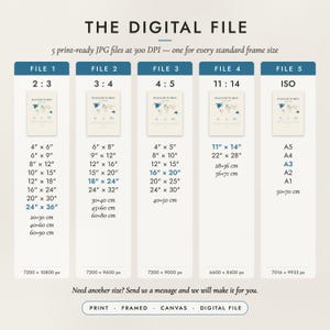 The Digital File option: five print-ready JPG files in 2:3, 3:4, 4:5, 11:14 and ISO ratios at 300 DPI